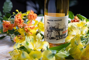 オレンジワインと夏の彩り🍊🌿 Orange Wine and Summer Colors