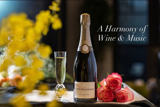 ワインと音楽🌿🥂🎶 Wine &Music
