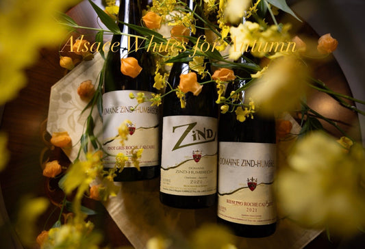 秋に楽しむアルザスの白ワイン 🥂🍂 Alsace White Wines for Autumn