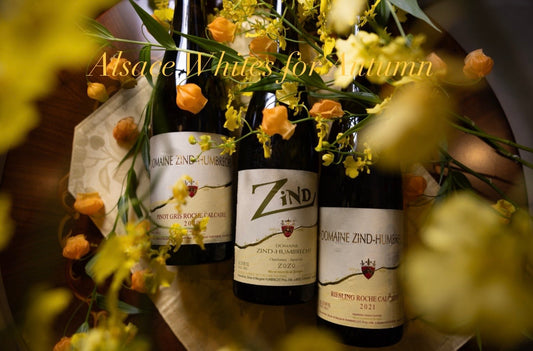 秋に楽しむアルザスの白ワイン 🥂🍂 Alsace White Wines for Autumn