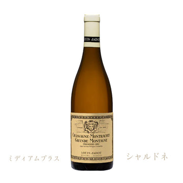ルイ・ジャド　シャサーニュ・モンラッシェ ブラン 2020　 750ml　（白ワイン辛口）　A.O.C. シャサーニュ・モンラッシェ　正規品（税込）