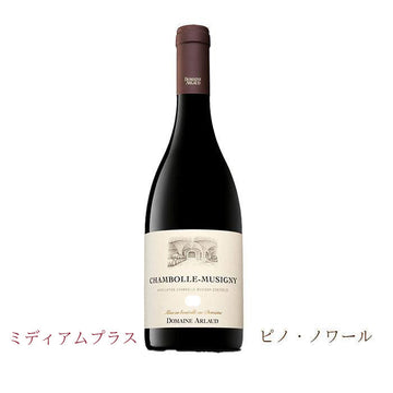 ドメーヌ・アルロー　シャンボール・ミュジニー 2019　750ml 　(赤ワイン辛口)　AOCシャンボール・ミュジニー　正規品（税込）