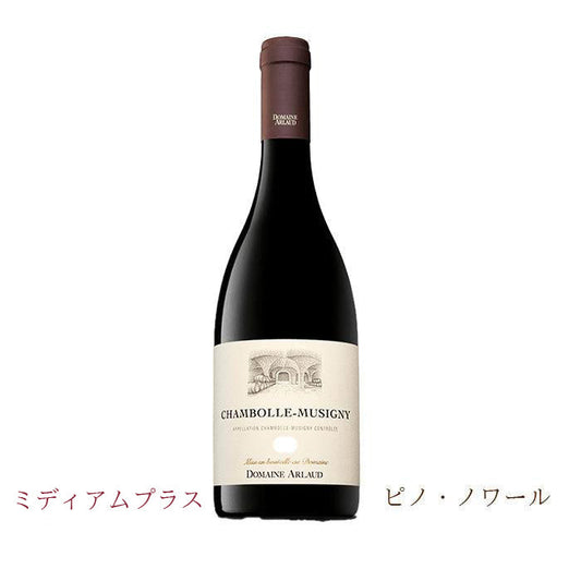 ドメーヌ・アルロー　シャンボール・ミュジニー 2019　750ml 　(赤ワイン辛口)　AOCシャンボール・ミュジニー　正規品（税込）