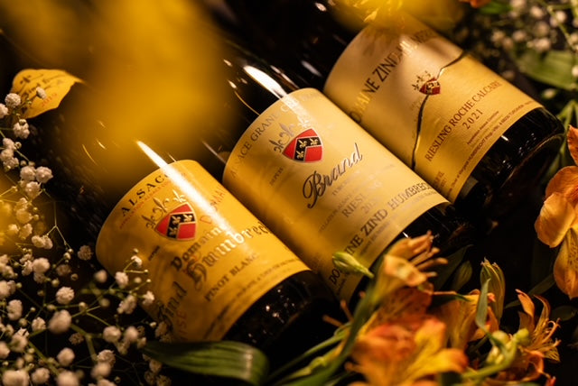 Tellus Kyoto OnlineStore